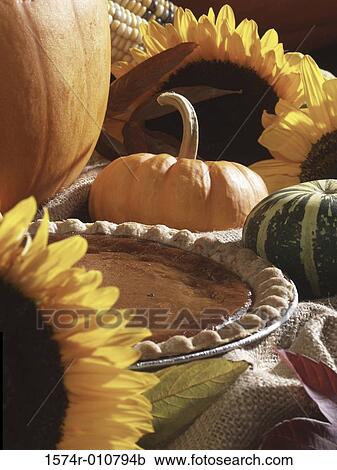 Stock Image - Pumpkin pie and pumpkins. Fotosearch