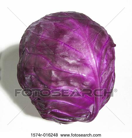 Purple Cabbage View Large Photo Image Stock Photo - Purple Cabbage. Fotosearch