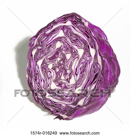 Purple Cabbage View Large Photo Image Stock Photo - Purple Cabbage. Fotosearch