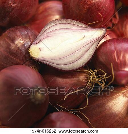Purple Pearl Onions View Large Photo Image Stock Image - Purple Pearl Onions. Fotosearch