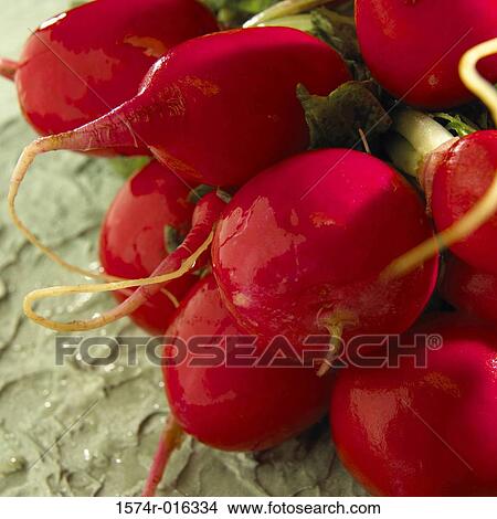 Radishes View Large Photo Image Picture - Radishes. Fotosearch