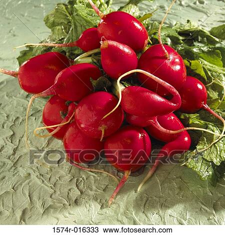 Radishes View Large Photo Image Stock Image - Radishes. Fotosearch