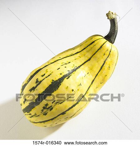 Squash View Large Photo Image Stock Image - Squash. Fotosearch