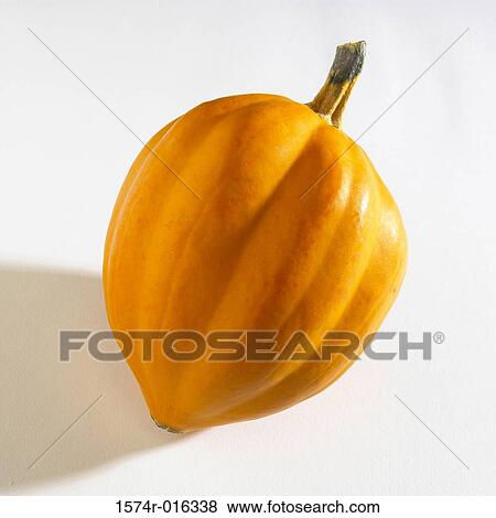 Squash View Large Photo Image Stock Photo - Squash. Fotosearch