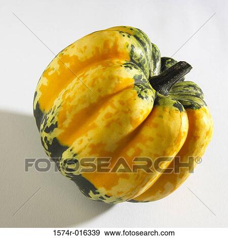 Squash View Large Photo Image Stock Photo - Squash. Fotosearch