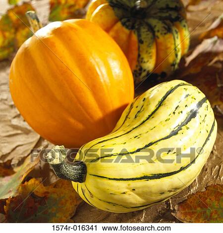 Stock Image - Squashes. Fotosearch