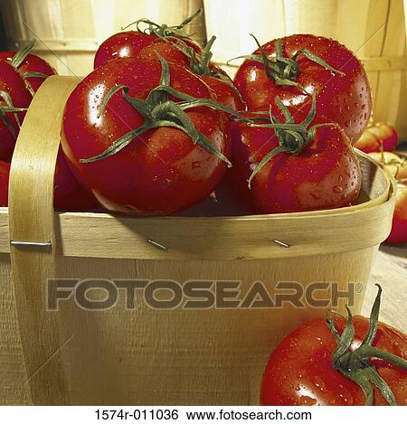 Tomatoes View Large Photo Image Stock Photograph - Tomatoes. Fotosearch