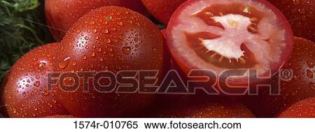 Tomatoes View Large Photo Image Stock Photography - Tomatoes. Fotosearch