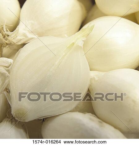 White Pearl Onions View Large Photo Image Picture - White Pearl Onions. Fotosearch