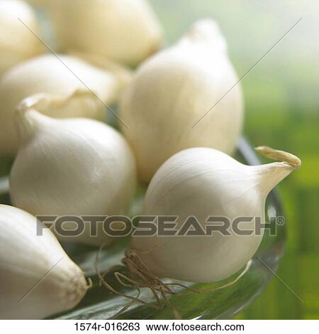 White Pearl Onions View Large Photo Image Stock Image - White Pearl Onions. Fotosearch