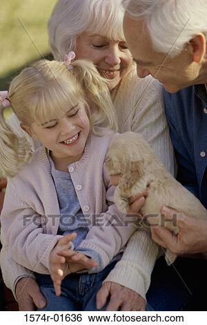 Stock Photograph - Elderly couple showing a puppy to their granddaughter. Fotosearch