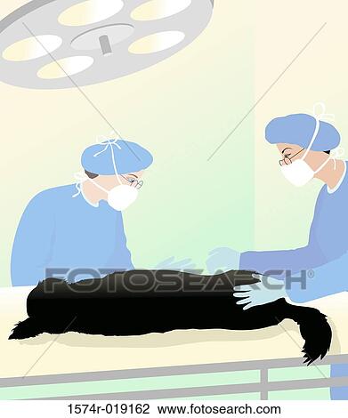 Drawing - Vet Clinic Surgery Linda Braucht (20th C. American) Computer Graphics. Fotosearch