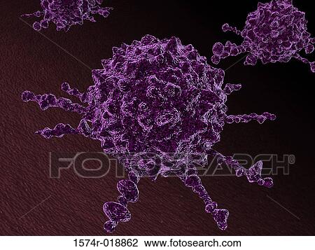 Drawing - Cancer Cells. Fotosearch