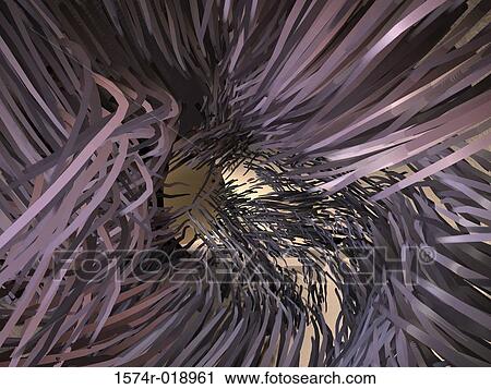 Clip Art - Cochlear Nerves. Fotosearch
