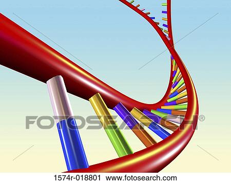 DNA Splicing View Large Illustration Clip Art - DNA Splicing. Fotosearch