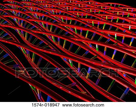 Human DNA View Large Illustration Stock Illustration - Human DNA. Fotosearch