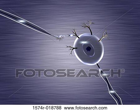 Neuron View Large Illustration Stock Illustration - Neuron. Fotosearch