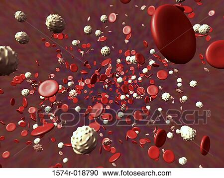 Clipart - Red and White Blood Cells. Fotosearch