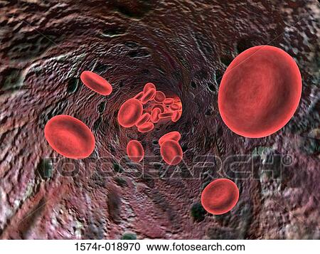 Red Blood Cells View Large Illustration Clipart - Red Blood Cells. Fotosearch