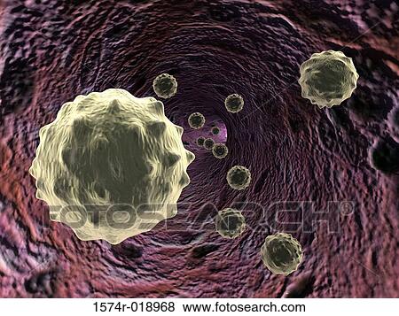 Stock Illustration - White Blood Cells. Fotosearch