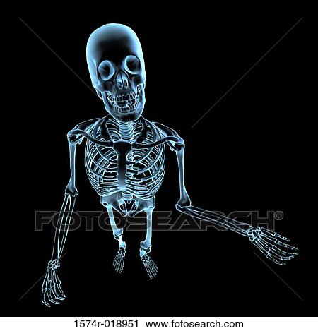 X-ray of the human skeleton View Large Illustration Clip Art - X-ray of the human skeleton. Fotosearch