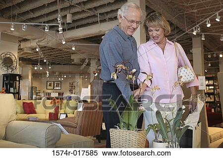 Senior couple looking at potted plants in a furniture store View Large Photo Image Stock Photography - Senior couple looking at potted plants in a furniture store. Fotosearch