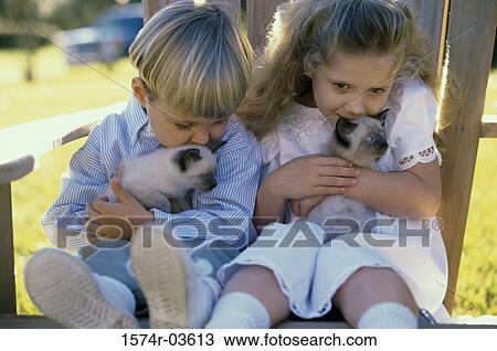 Boy and a girl sitting with Siamese kittens View Large Photo Image Stock Image - Boy and a girl sitting with Siamese kittens. Fotosearch