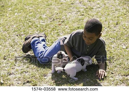 Boy playing with puppies View Large Photo Image Stock Photo - Boy playing with puppies. Fotosearch