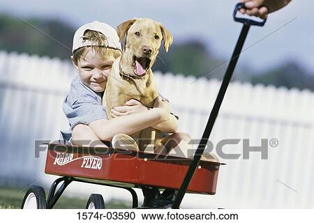 Boy sitting in a toy wagon holding his dog View Large Photo Image Stock Image - Boy sitting in a toy wagon holding his dog. Fotosearch