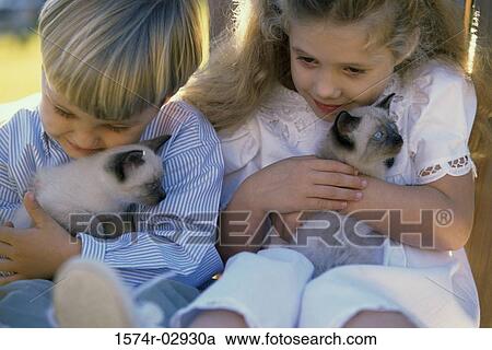 Close-up of a boy and a girl sitting with Siamese kittens View Large Photo Image Stock Image - Close-up of a boy and a girl sitting with Siamese kittens. Fotosearch
