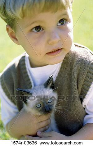 Close-up of a boy holding a Siamese kitten View Large Photo Image Stock Photograph - Close-up of a boy holding a Siamese kitten. Fotosearch