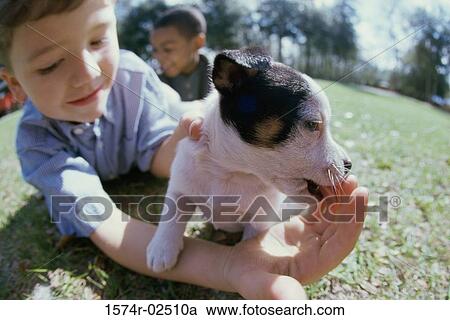 Close-up of a boy holding his puppy View Large Photo Image Stock Image - Close-up of a boy holding his puppy. Fotosearch