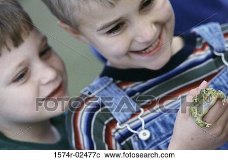 Close-up of a boy standing with his friend holding a frog View Large Photo Image Stock Image - Close-up of a boy standing with his friend holding a frog. Fotosearch