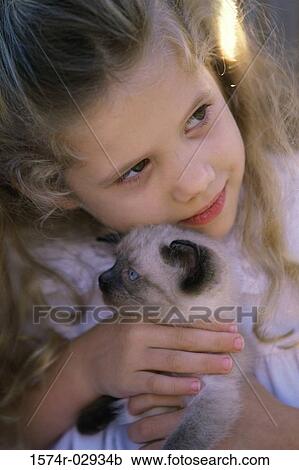 Close-up of a girl holding a Siamese kitten View Large Photo Image Stock Image - Close-up of a girl holding a Siamese kitten. Fotosearch
