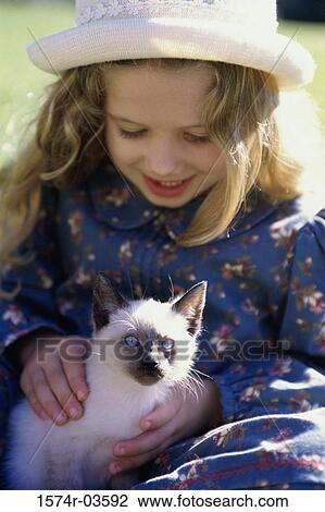 Close-up of a girl holding a Siamese kitten View Large Photo Image Stock Image - Close-up of a girl holding a Siamese kitten. Fotosearch