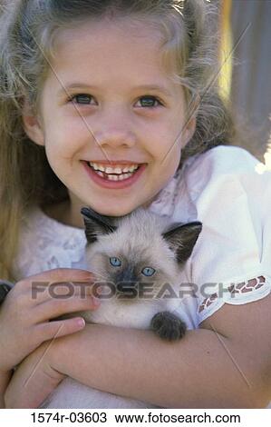 Close-up of a girl holding a Siamese kitten View Large Photo Image Stock Image - Close-up of a girl holding a Siamese kitten. Fotosearch