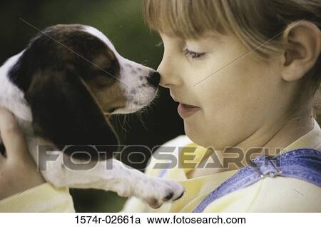 Close-up of a girl nuzzling her puppy View Large Photo Image Stock Image - Close-up of a girl nuzzling her puppy. Fotosearch