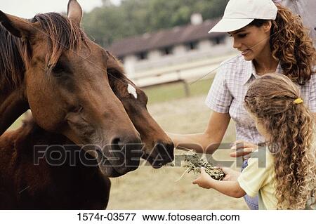 Girl and her mother feeding two horses View Large Photo Image Stock Photo - Girl and her mother feeding two horses. Fotosearch