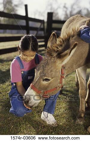 Girl feeding a donkey View Large Photo Image Stock Photograph - Girl feeding a donkey. Fotosearch