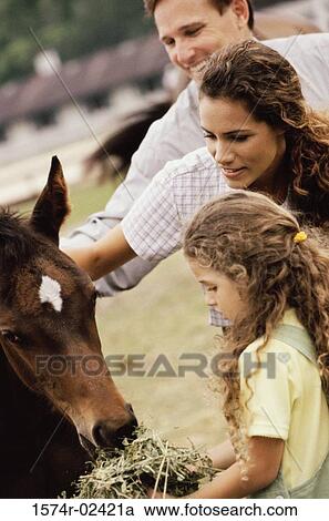 Stock Image - Girl feeding a horse with her parents. Fotosearch