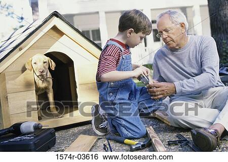 Grandfather and his grandson building a kennel View Large Photo Image Stock Photograph - Grandfather and his grandson building a kennel. Fotosearch