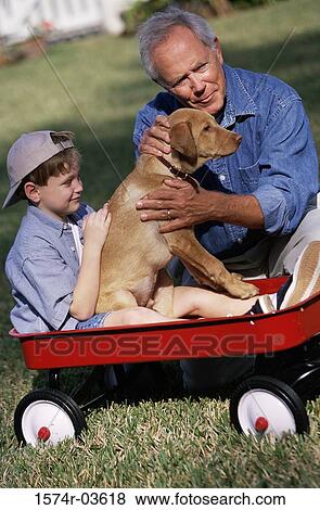 Grandfather and his grandson holding their dog View Large Photo Image Stock Photo - Grandfather and his grandson holding their dog. Fotosearch