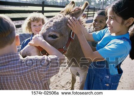 Group of children standing with a donkey View Large Photo Image Stock Image - Group of children standing with a donkey. Fotosearch