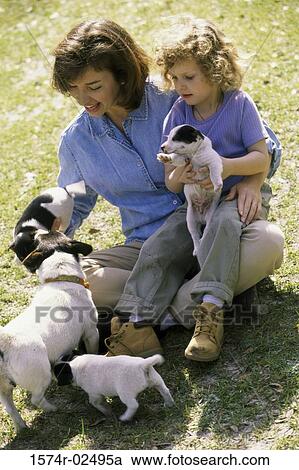 High angle view of a mother and her daughter playing with puppies View Large Photo Image Stock Image - High angle view of a mother and her daughter playing with puppies. Fotosearch