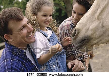 Parents with their daughter feeding a horse View Large Photo Image Stock Image - Parents with their daughter feeding a horse. Fotosearch