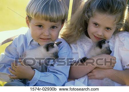 Portrait of a boy and a girl sitting with Siamese kittens View Large Photo Image Stock Image - Portrait of a boy and a girl sitting with Siamese kittens. Fotosearch