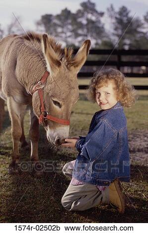 Portrait of a girl feeding a donkey View Large Photo Image Stock Image - Portrait of a girl feeding a donkey. Fotosearch