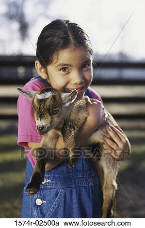 Portrait of a girl holding a kid goat in her arms View Large Photo Image Stock Image - Portrait of a girl holding a kid goat in her arms. Fotosearch