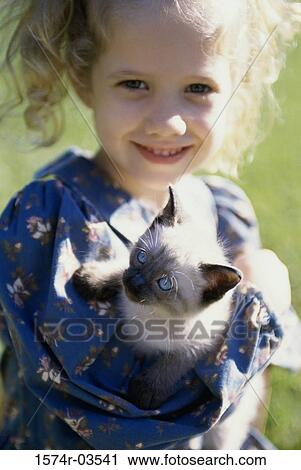Portrait of a girl holding a Siamese kitten View Large Photo Image Stock Image - Portrait of a girl holding a Siamese kitten. Fotosearch