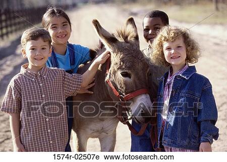 Portrait of a group of children standing with a donkey View Large Photo Image Stock Image - Portrait of a group of children standing with a donkey. Fotosearch